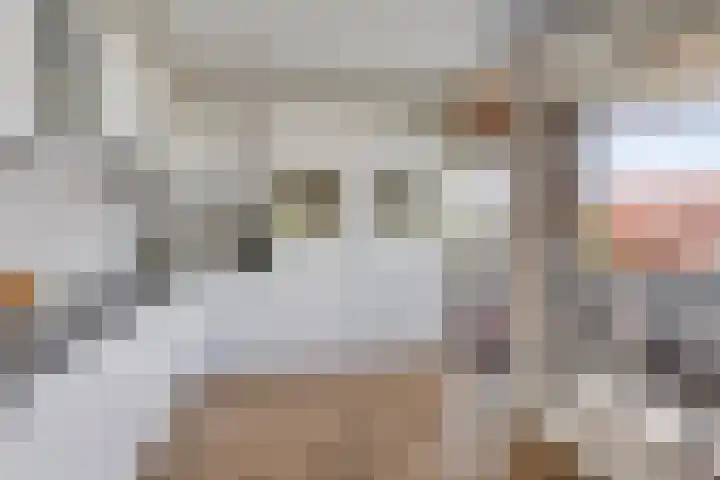 Koepeloven 16 Ulft thumbnail 19