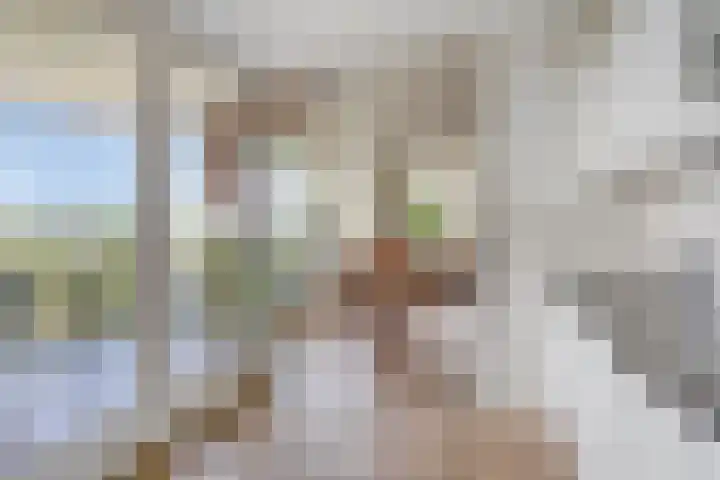Koepeloven 16 Ulft thumbnail 20