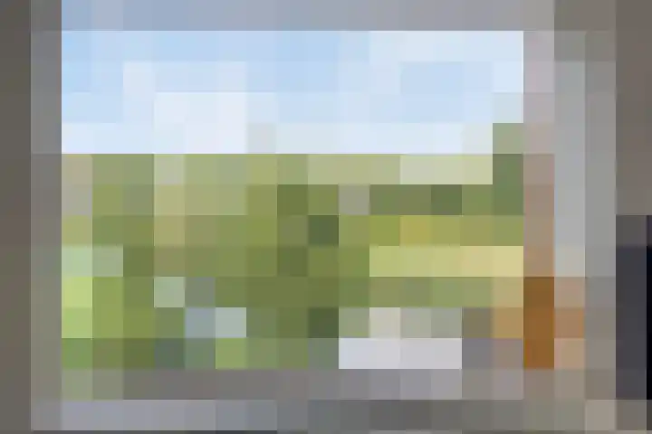 Koepeloven 16 Ulft thumbnail 21