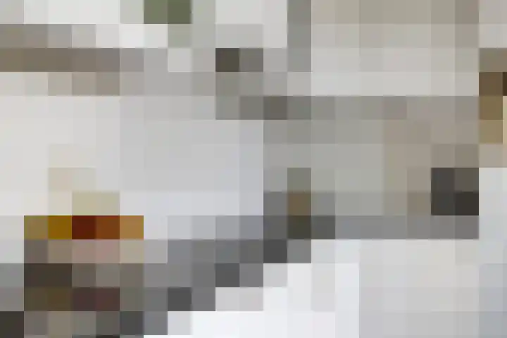Koepeloven 16 Ulft thumbnail 22