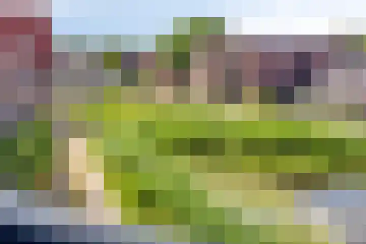 Koepeloven 16 Ulft thumbnail 26