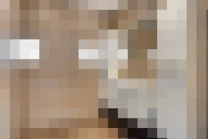 Koepeloven 16 Ulft thumbnail 35