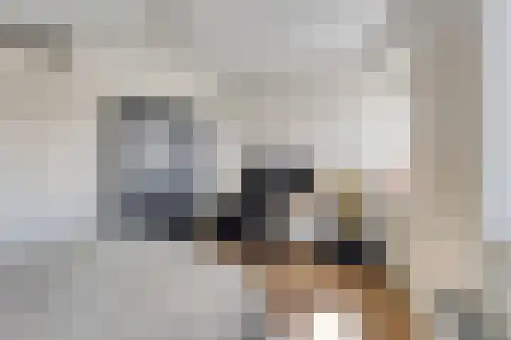 Koepeloven 16 Ulft thumbnail 38