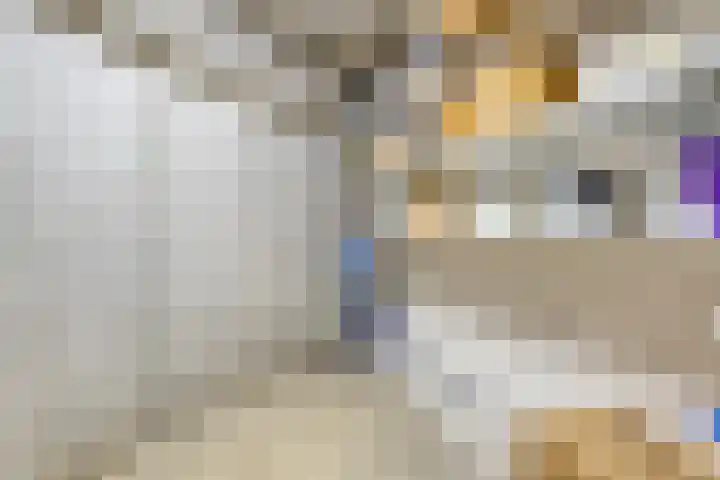 Koepeloven 16 Ulft thumbnail 42