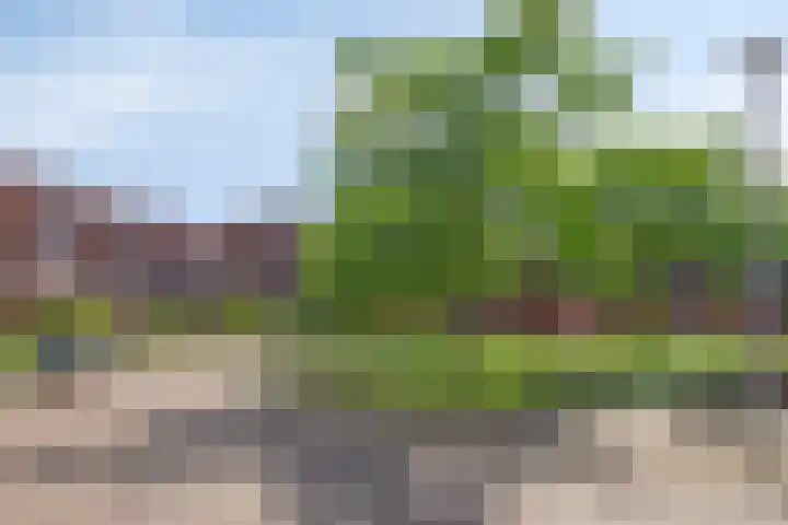Koepeloven 16 Ulft thumbnail 46