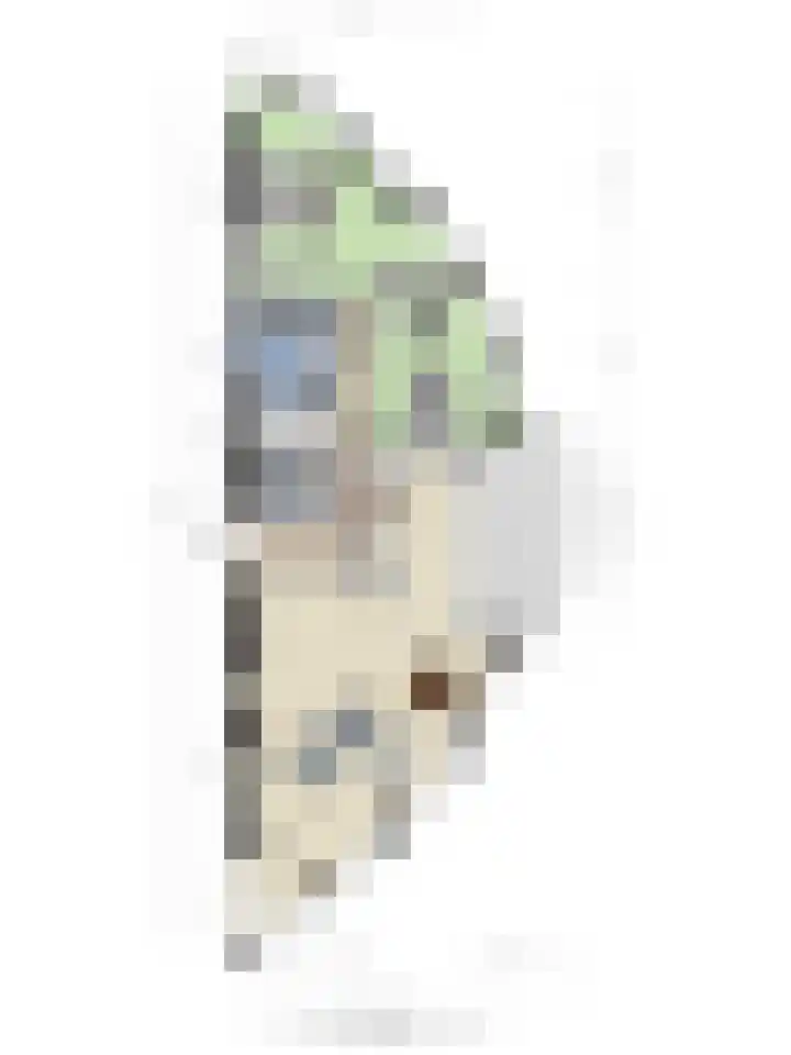 Koepeloven 16 Ulft thumbnail 47