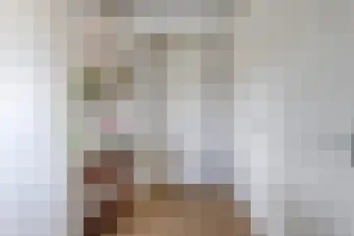 Koepeloven 16 Ulft thumbnail 8