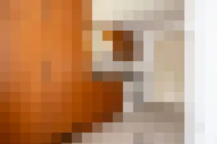 Koepeloven 2 B Gaanderen thumbnail 13