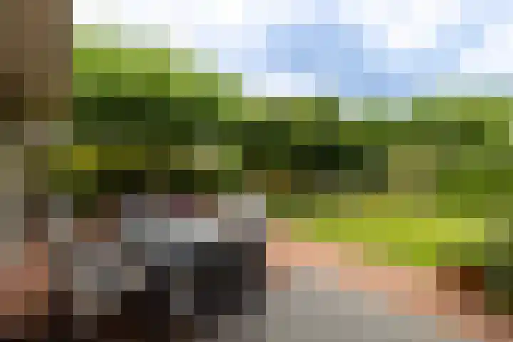 Koepeloven 2 B Gaanderen thumbnail 15