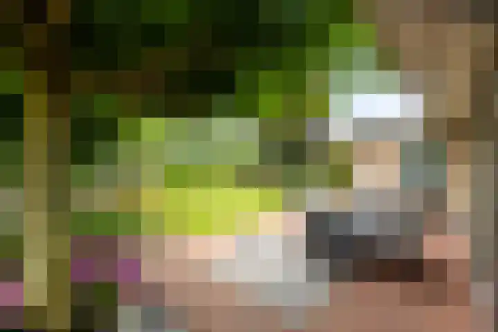Koepeloven 2 B Gaanderen thumbnail 16