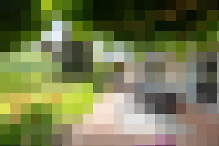 Koepeloven 2 B Gaanderen thumbnail 17