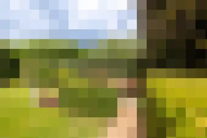 Koepeloven 2 B Gaanderen thumbnail 18