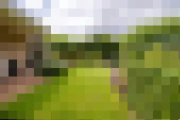 Koepeloven 2 B Gaanderen thumbnail 19