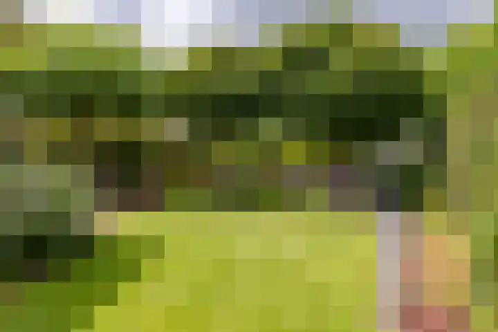 Koepeloven 2 B Gaanderen thumbnail 20