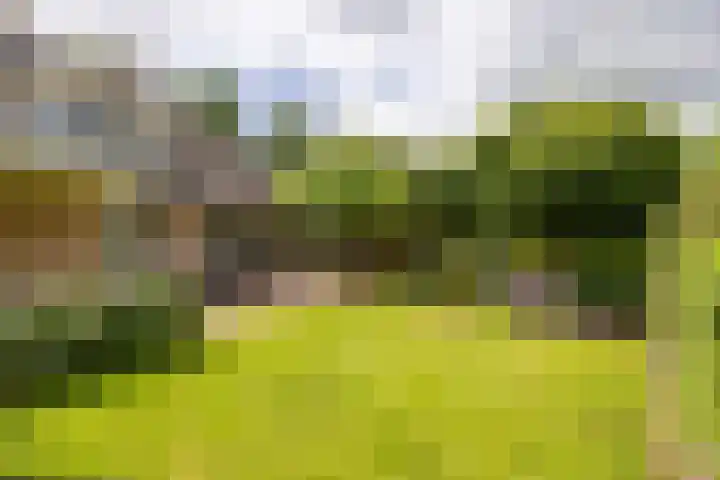 Koepeloven 2 B Gaanderen thumbnail 21