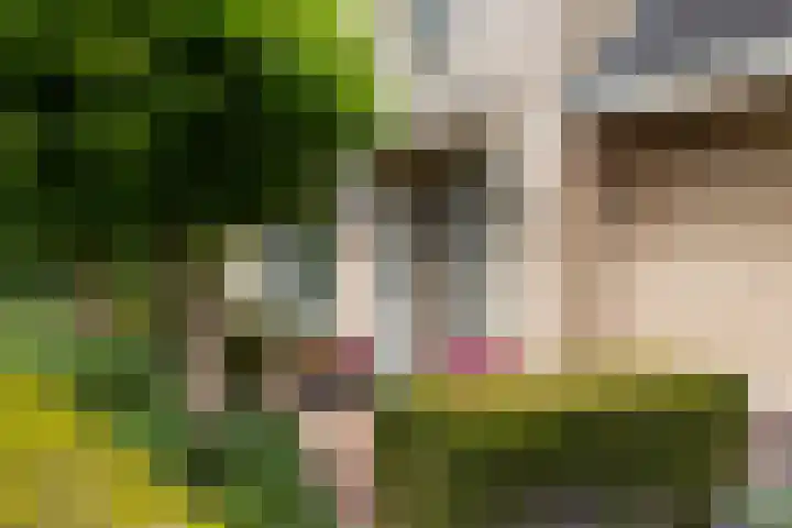 Koepeloven 2 B Gaanderen thumbnail 23