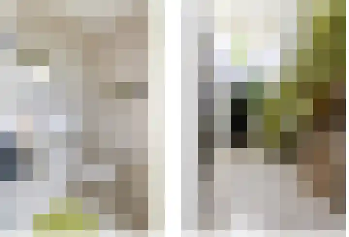 Koepeloven 2 B Gaanderen thumbnail 24