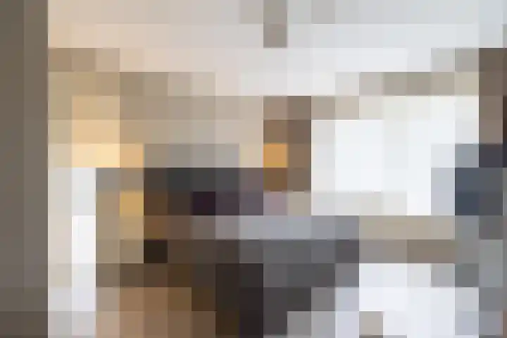 Koepeloven 2 B Gaanderen thumbnail 25
