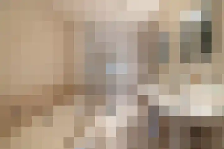 Koepeloven 2 B Gaanderen thumbnail 29