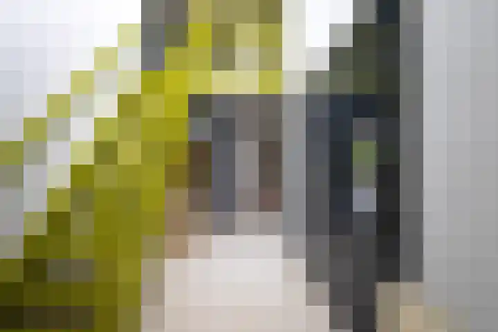 Koepeloven 2 B Gaanderen thumbnail 33