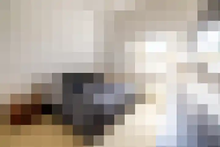 Koepeloven 2 B Gaanderen thumbnail 34