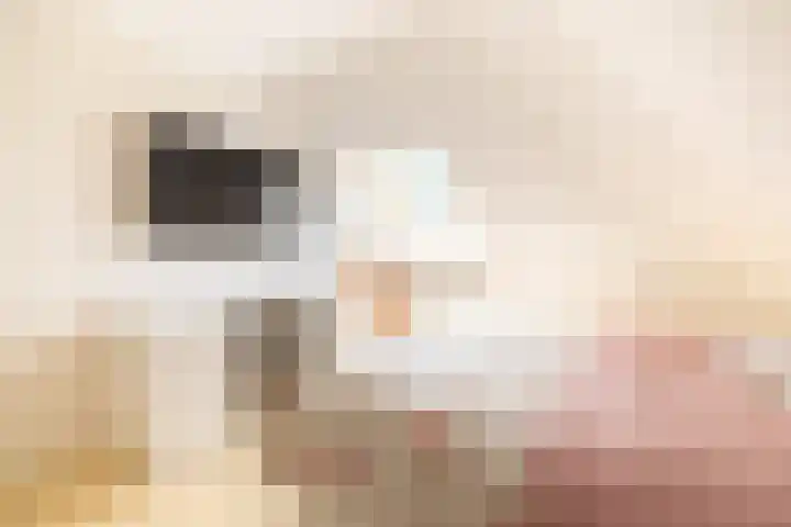 Koepeloven 2 B Gaanderen thumbnail 37
