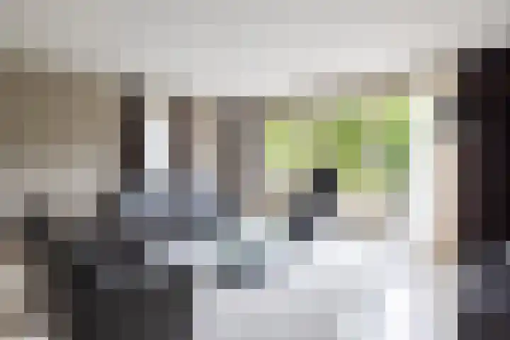Koepeloven 2 B Gaanderen thumbnail 4