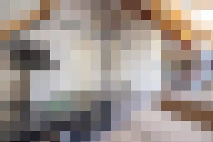 Koepeloven 2 B Gaanderen thumbnail 43