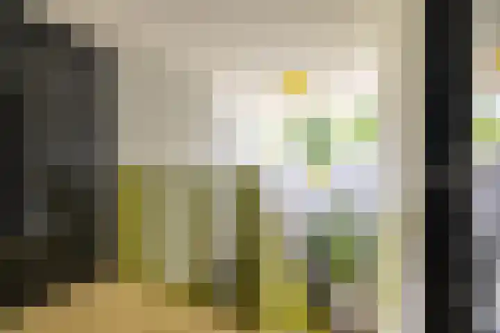 Koepeloven 2 B Gaanderen thumbnail 44