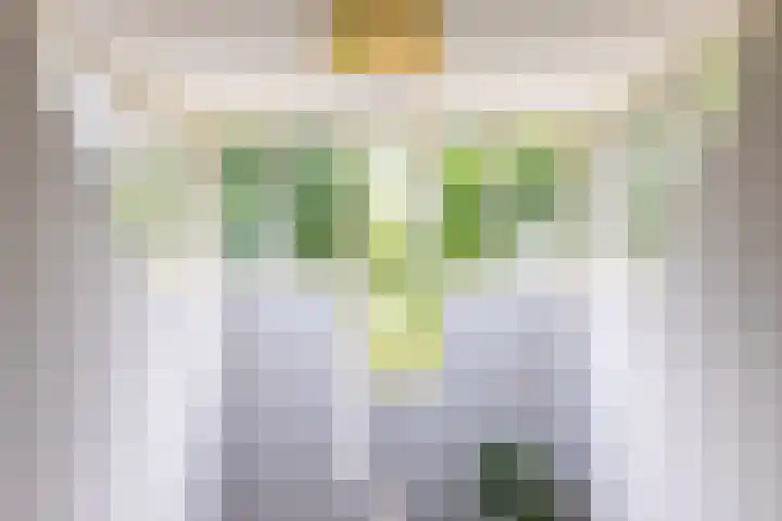 Koepeloven 2 B Gaanderen thumbnail 45