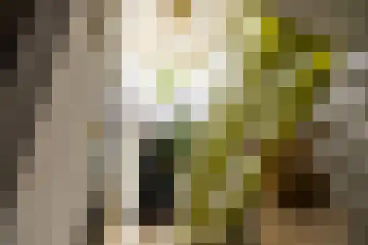Koepeloven 2 B Gaanderen thumbnail 46