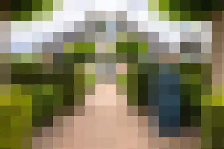 Koepeloven 2 B Gaanderen thumbnail 47