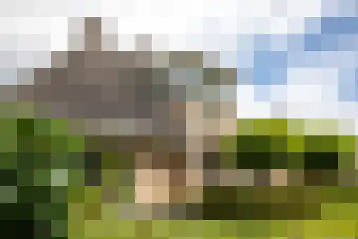 Koepeloven 2 B Gaanderen thumbnail 48