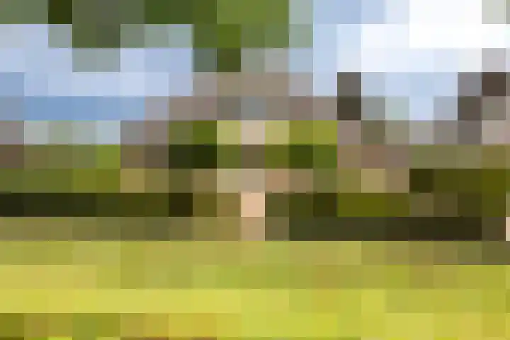 Koepeloven 2 B Gaanderen thumbnail 49