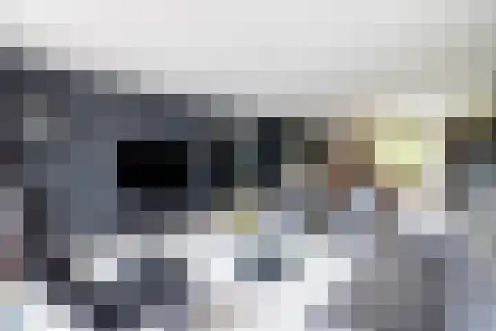 Koepeloven 2 B Gaanderen thumbnail 5