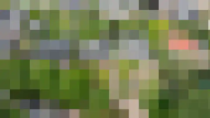 Koepeloven 2 B Gaanderen thumbnail 53