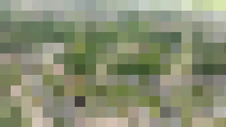 Koepeloven 2 B Gaanderen thumbnail 55