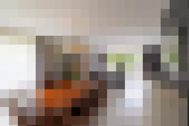Koepeloven 2 B Gaanderen thumbnail 7