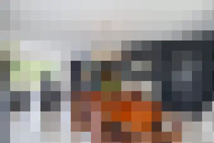Koepeloven 2 B Gaanderen thumbnail 8