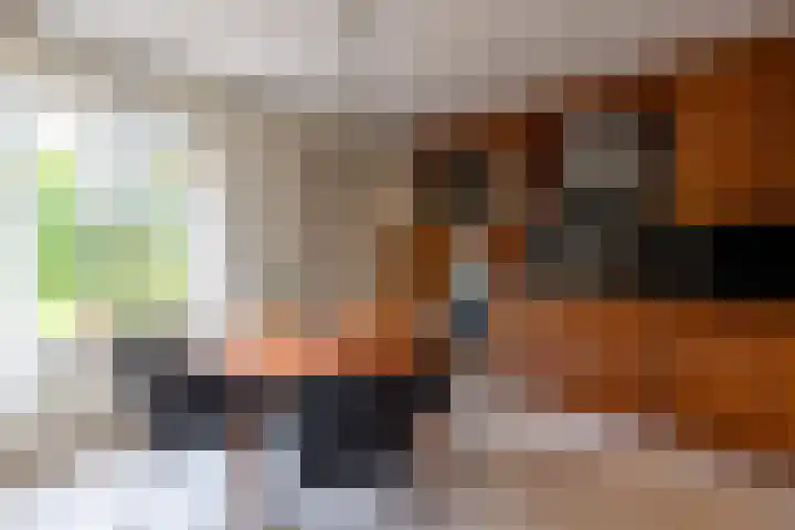 Koepeloven 2 B Gaanderen thumbnail 9
