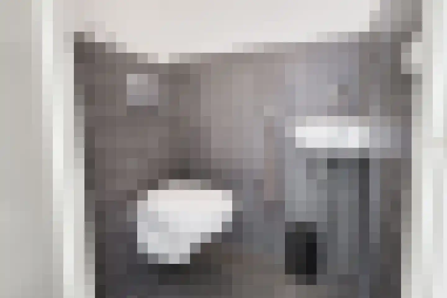 Koepeloven 2 Ulft thumbnail 19