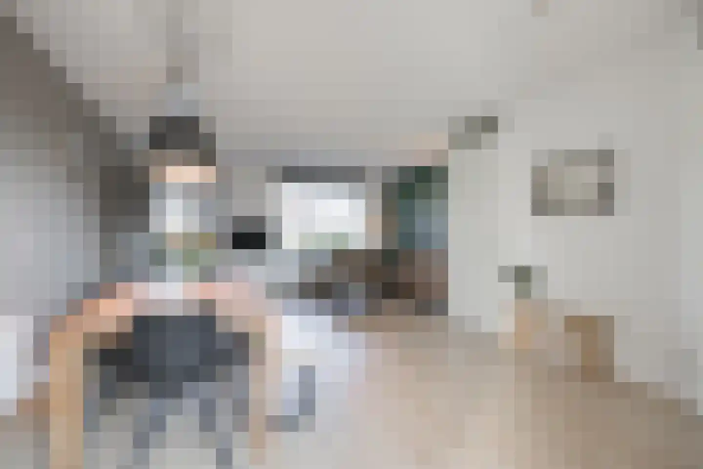 Koepeloven 2 Ulft thumbnail 25