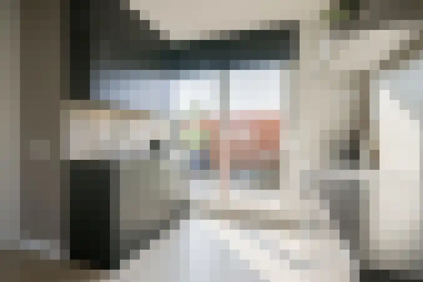 Koepeloven 2 Ulft thumbnail 27