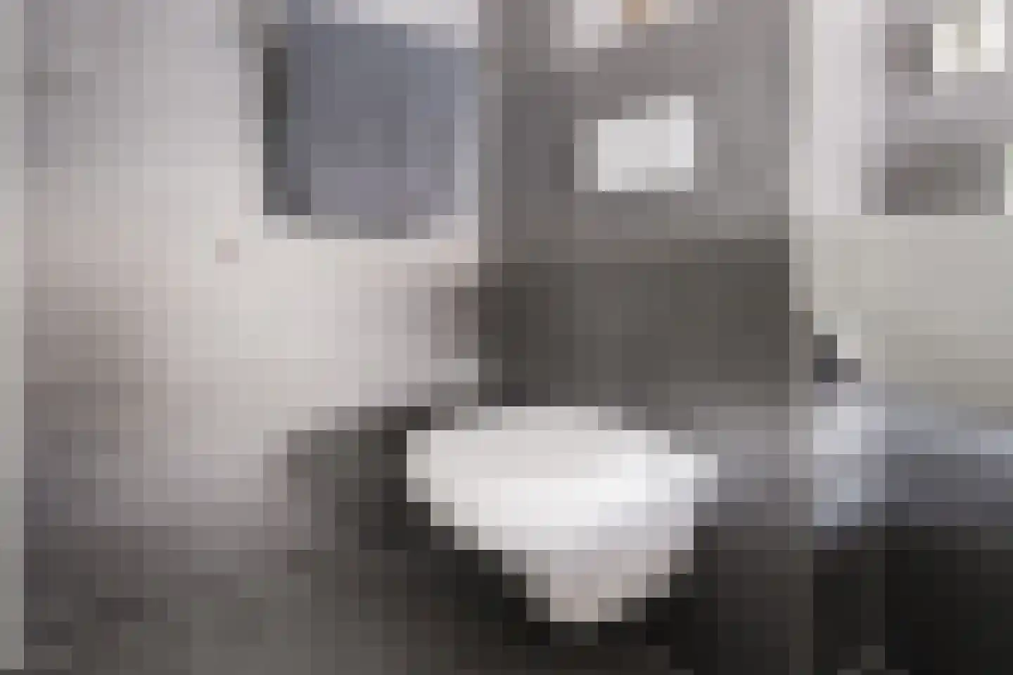 Koepeloven 2 Ulft thumbnail 43