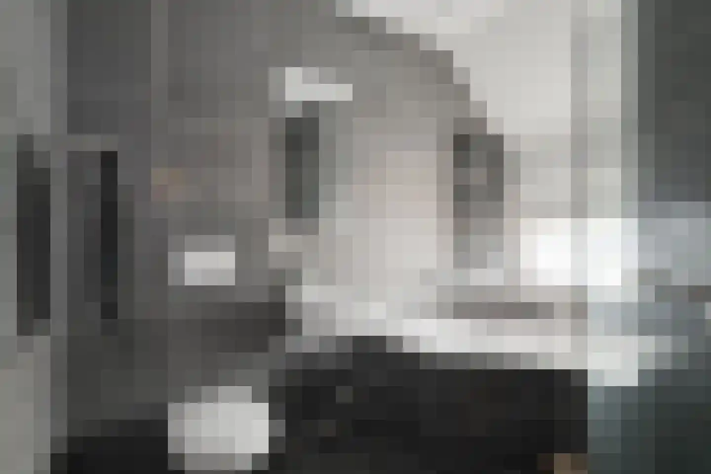Koepeloven 2 Ulft thumbnail 6