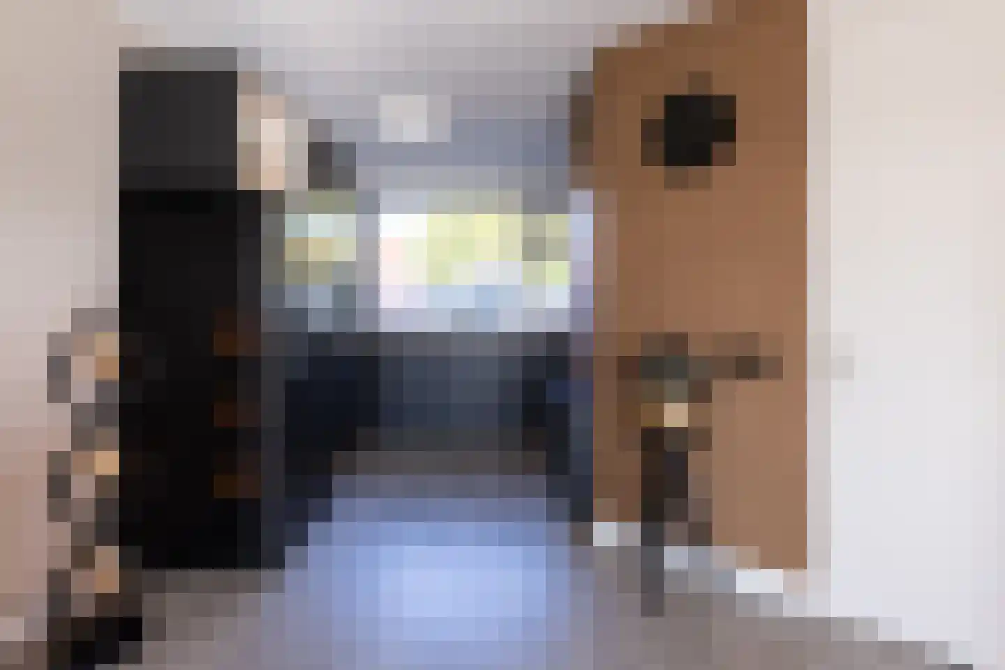 Koepeloven 23 Ulft thumbnail 13