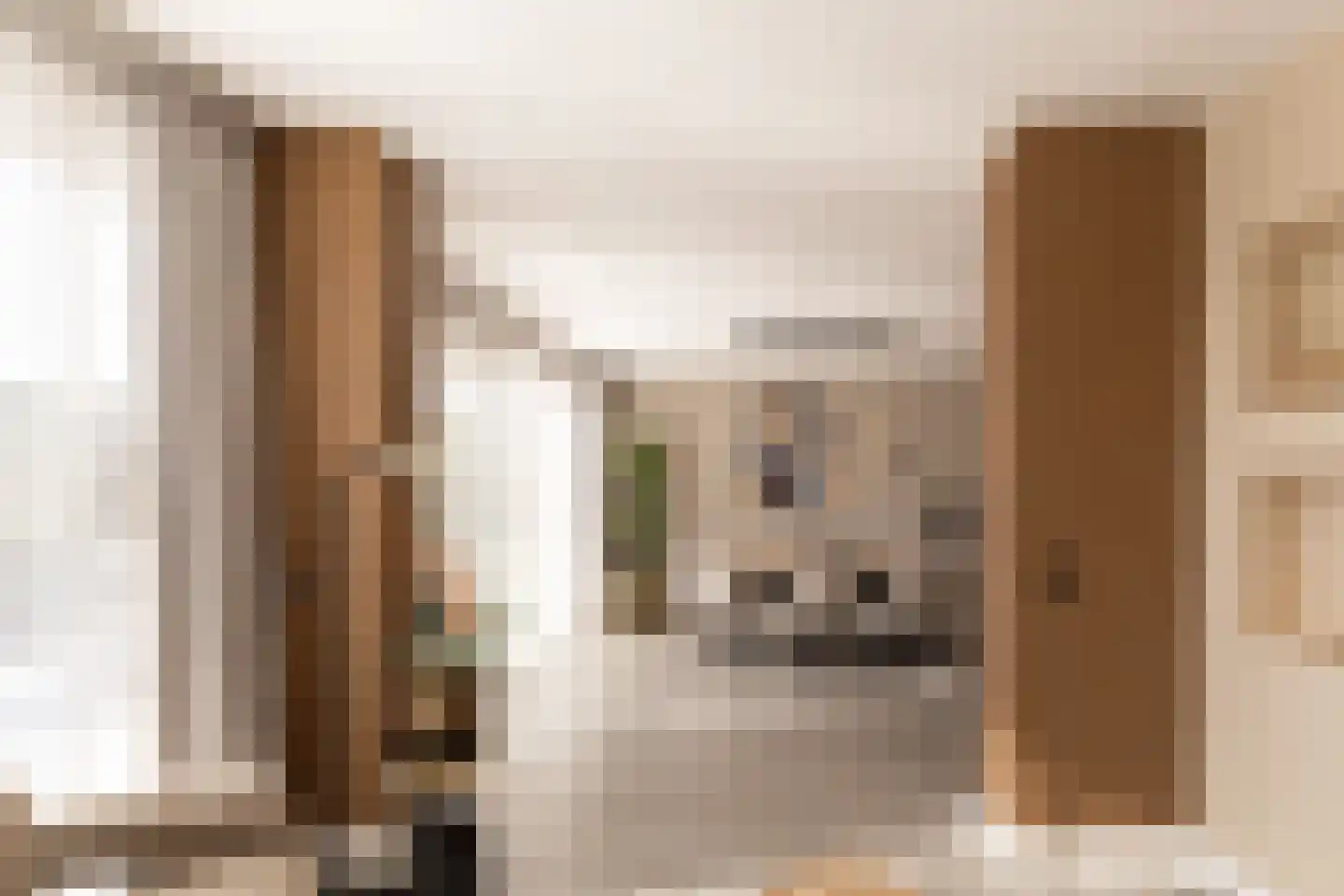 Koepeloven 23 Ulft thumbnail 21