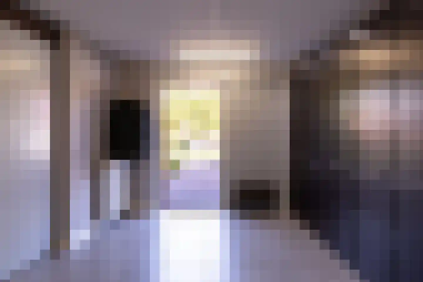 Koepeloven 23 Ulft thumbnail 22