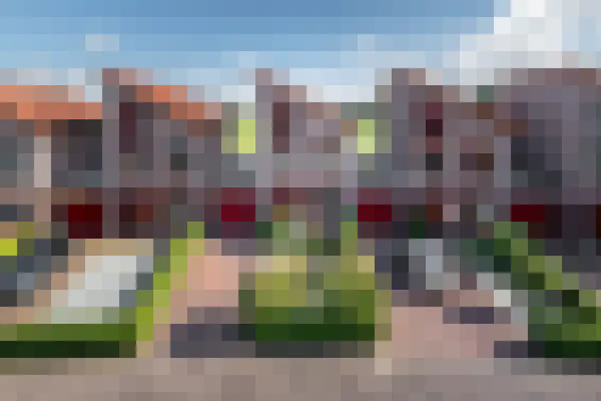 Koepeloven 23 Ulft foto 3