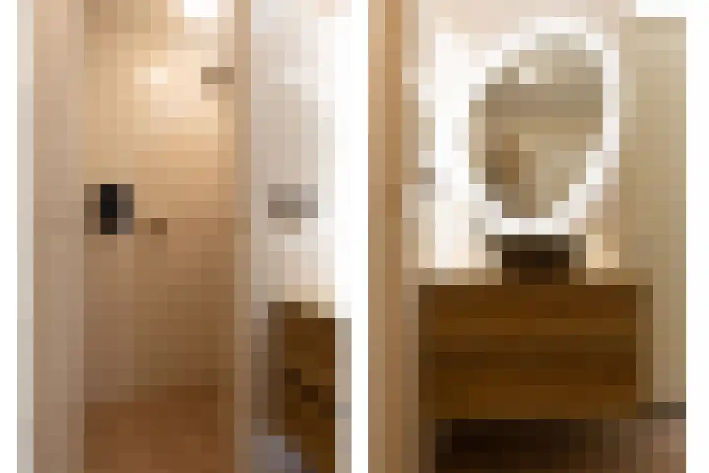 Koepeloven 23 Ulft thumbnail 30